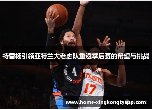 特雷杨引领亚特兰大老鹰队重返季后赛的希望与挑战